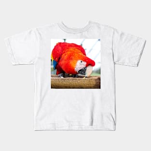 Macaw Parrot Kids T-Shirt